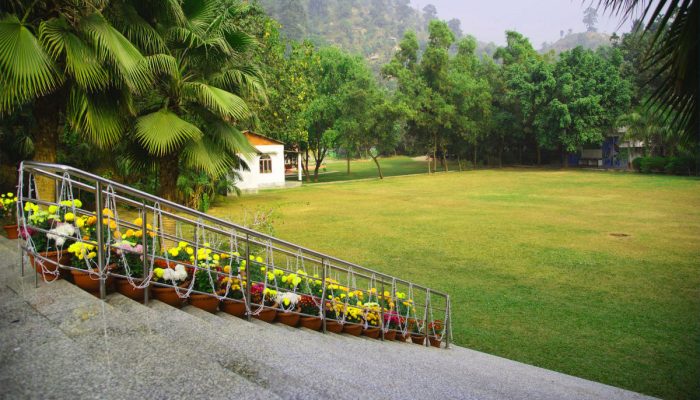 majuli-lawn1